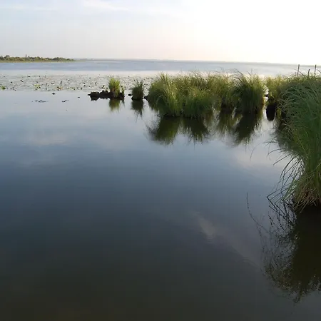 Boheme Avec Terrasse Et Parking, A Proximite De Planete Sauvage - Fr-1-306-1305 Prázdninový dům