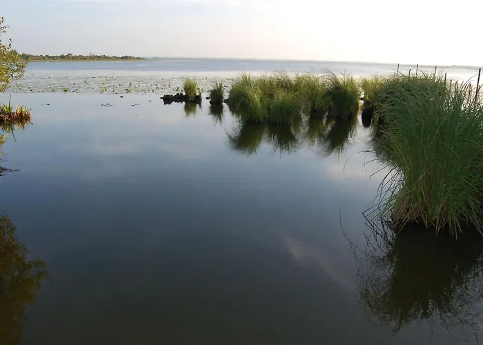 Boheme Avec Terrasse Et Parking, A Proximite De Planete Sauvage - Fr-1-306-1305 Nyaraló